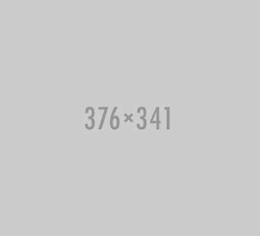 success_376_341